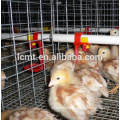 good quality hot dipped galvanized poultry chicken cages